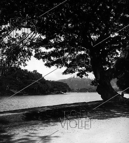 Kandy (Sri Lanka, anciennement île de Ceylan). Les bords du lac. 1902.