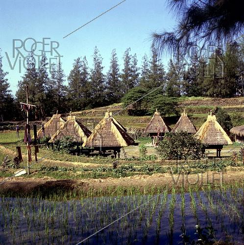 Philippines. Ile de Luçon. Village Ifugao près de Banaue.